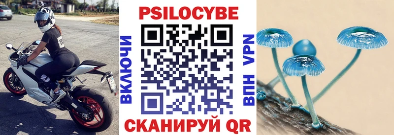 Купить где  Ртищево  Псилоцибиновые грибы MAGIC MUSHROOMS 